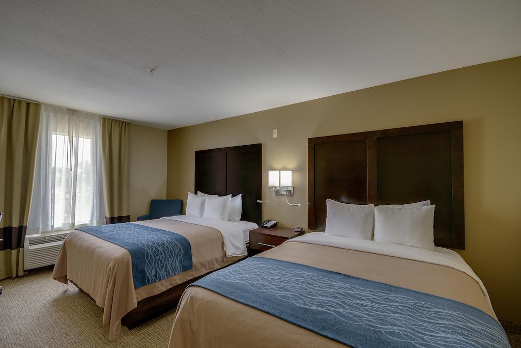 Comfort Inn & Suites Fm1960-Champions Χιούστον Εξωτερικό φωτογραφία